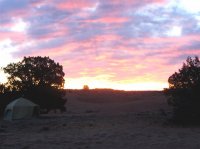 IMG_4299.JPG IMG_4299.JPG