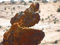 IMG_4314.JPG IMG_4314.JPG