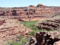 IMG_4325.JPG IMG_4325.JPG