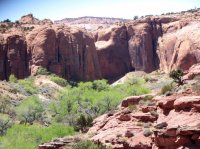 IMG_4328.JPG IMG_4328.JPG