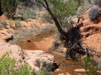 IMG_4336.JPG IMG_4336.JPG