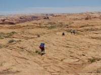 IMG_4350.JPG IMG_4350.JPG