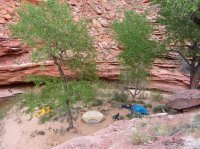 IMG_4364.JPG IMG_4364.JPG