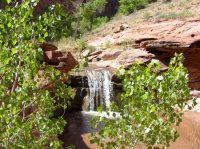 IMG_4376.JPG IMG_4376.JPG