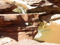 IMG_4377.JPG IMG_4377.JPG