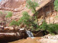 IMG_4384.JPG IMG_4384.JPG