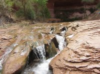 IMG_4406.JPG IMG_4406.JPG