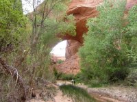 IMG_4410.JPG IMG_4410.JPG