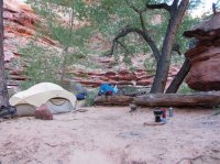 IMG_4427.JPG IMG_4427.JPG