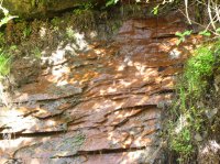 IMG_4433.JPG IMG_4433.JPG