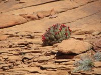 IMG_4434.JPG IMG_4434.JPG