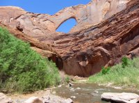 IMG_4460.JPG IMG_4460.JPG