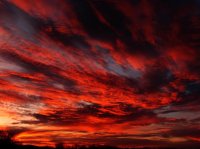 PB296567ed (Large).jpg PB296567ed (Large).jpg