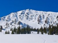 P3098151ed (Large).jpg P3098151ed (Large).jpg