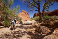 forty-mile-willow-1.jpg forty-mile-willow-1.jpg