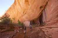 forty-mile-willow-2.jpg forty-mile-willow-2.jpg