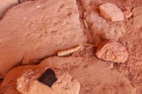 forty-mile-willow-3.jpg forty-mile-willow-3.jpg