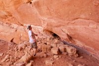 forty-mile-willow-4.jpg forty-mile-willow-4.jpg