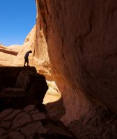 forty-mile-willow-6.jpg forty-mile-willow-6.jpg