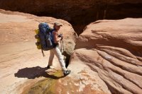 forty-mile-willow-7.jpg forty-mile-willow-7.jpg