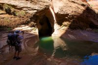 forty-mile-willow-8.jpg forty-mile-willow-8.jpg