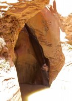 forty-mile-willow-9.jpg forty-mile-willow-9.jpg