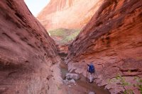 forty-mile-willow-10.jpg forty-mile-willow-10.jpg