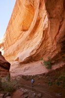 forty-mile-willow-11.jpg forty-mile-willow-11.jpg