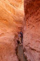 forty-mile-willow-13.jpg forty-mile-willow-13.jpg