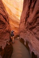 forty-mile-willow-14.jpg forty-mile-willow-14.jpg