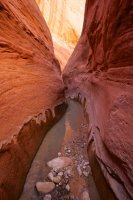 forty-mile-willow-15.jpg forty-mile-willow-15.jpg