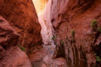 forty-mile-willow-17.jpg forty-mile-willow-17.jpg