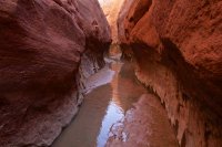 forty-mile-willow-18.jpg forty-mile-willow-18.jpg