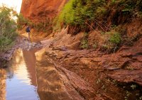 forty-mile-willow-20.jpg forty-mile-willow-20.jpg