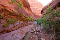 forty-mile-willow-21.jpg forty-mile-willow-21.jpg