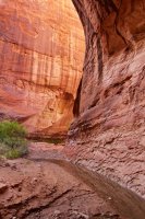 forty-mile-willow-22.jpg forty-mile-willow-22.jpg