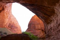 forty-mile-willow-23.jpg forty-mile-willow-23.jpg