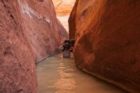 forty-mile-willow-25.jpg forty-mile-willow-25.jpg