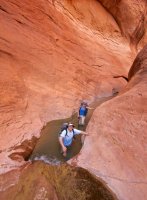 forty-mile-willow-26.jpg forty-mile-willow-26.jpg