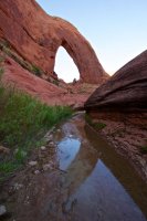 forty-mile-willow-28.jpg forty-mile-willow-28.jpg