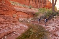 forty-mile-willow-30.jpg forty-mile-willow-30.jpg