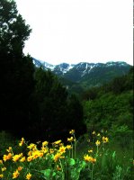 Mt-Beirdneau-2.jpg Mt-Beirdneau-2.jpg