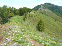 Mt-Beirdneau-3.jpg Mt-Beirdneau-3.jpg