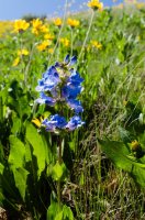 DSC_0164.jpg DSC_0164.jpg