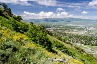 DSC_0186.jpg DSC_0186.jpg