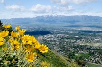 DSC_0205.jpg DSC_0205.jpg