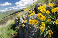 DSC_0209.jpg DSC_0209.jpg