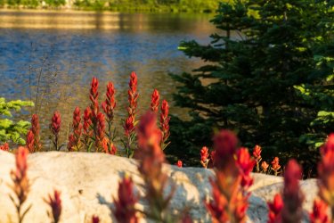 RCM09292-Fire Lake Uintas 7-2021-210710-62.jpg