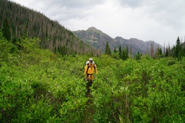 DSC08516.JPG DSC08516.JPG