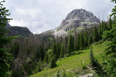 DSC08544.JPG DSC08544.JPG